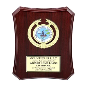 Contoured plaque