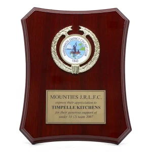 Contoured plaque