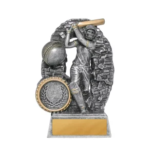 Crash Through Series Female Cricket Trophy - Batter