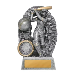 Crash Through Series Female Cricket Trophy - Batter