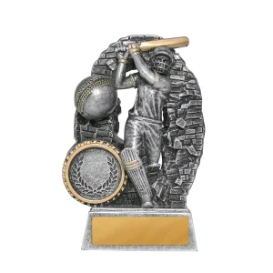Crash Through Series Male Cricket Trophy - Batter