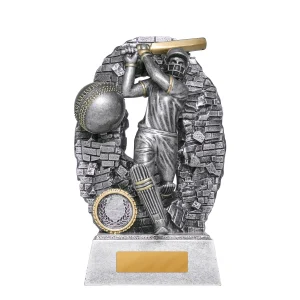 Crash Through Series Male Cricket Trophy - Batter