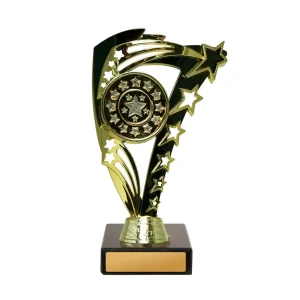 Achievement Cup trophy