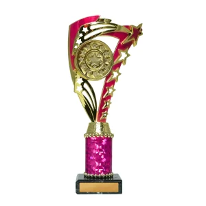 Achievement Cup trophy