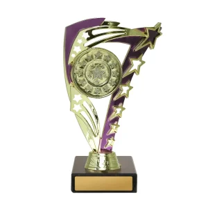 Achievement Cup trophy