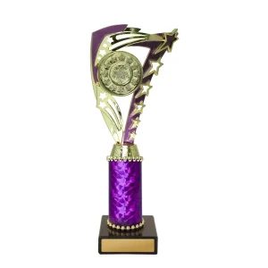 Achievement Cup trophy