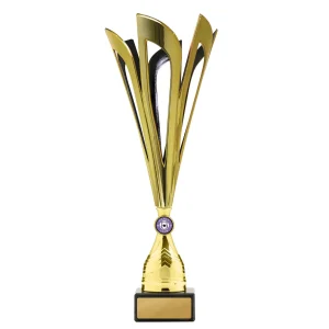 Achievement Cup trophy