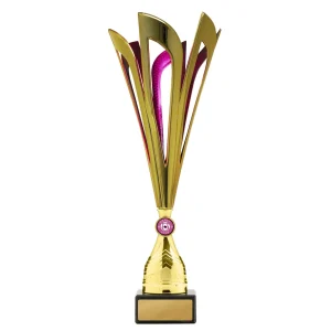 Achievement Cup trophy