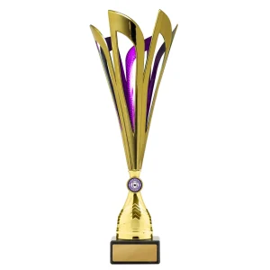 Achievement Cup trophy