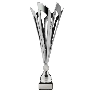 Achievement Cup trophy