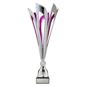 Achievement Cup trophy