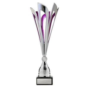 Achievement Cup trophy