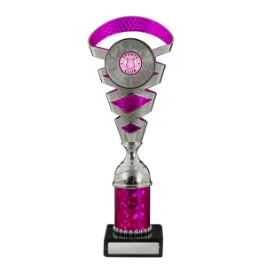 Achievement Cup trophy
