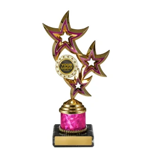 Achievement Cup trophy