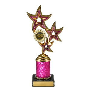 Achievement Cup trophy