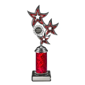 Achievement Cup trophy