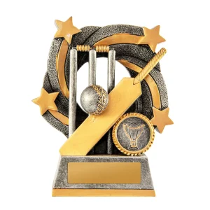 Typhoon Series Cricket Trophy