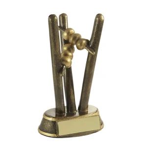 Stumps Ball Holder