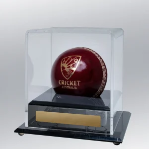 Cricket ball display case