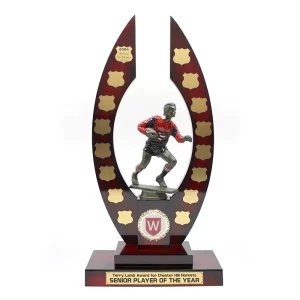 Perpetual Rugby Trophy