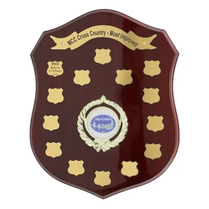 Perpetual Shield - 300mm