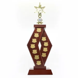 Angled Timber Perpetual Trophy