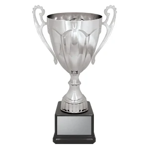 Cup trophy