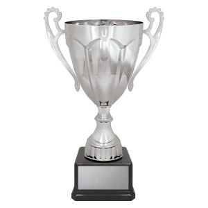 Cup trophy