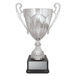 Cup trophy