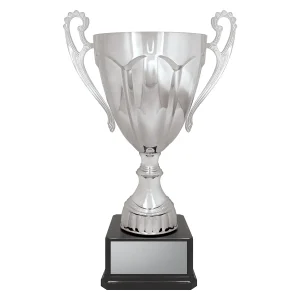 Cup trophy