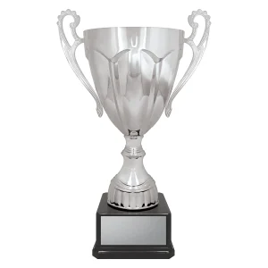 Cup trophy