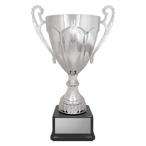 Cup trophy