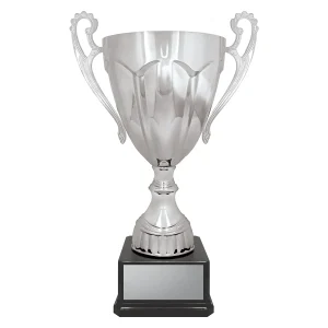 Cup trophy