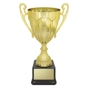 Cup trophy