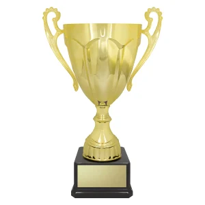 Cup trophy