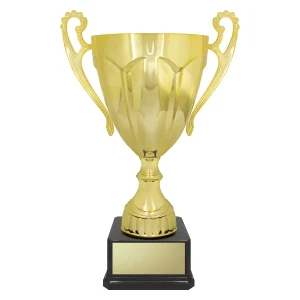 Cup trophy