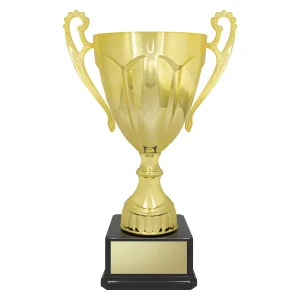 Cup trophy