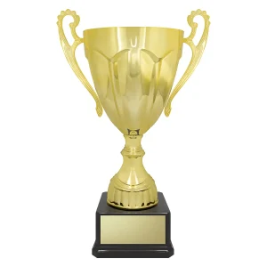 Cup trophy