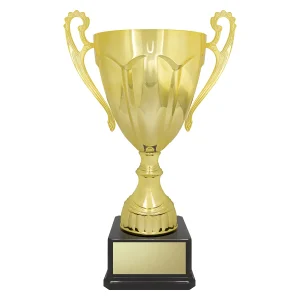 Cup trophy