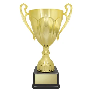 Cup trophy