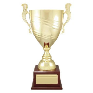 Cup trophy