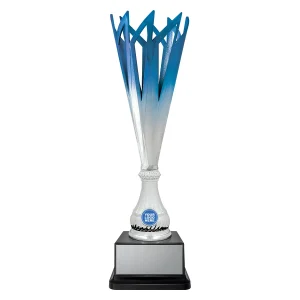 Cup trophy