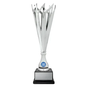 Cup trophy