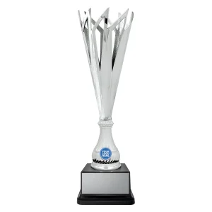 Cup trophy