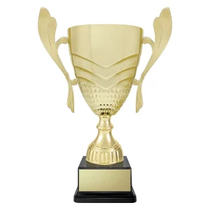 Cup trophy