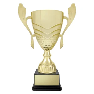 Cup trophy