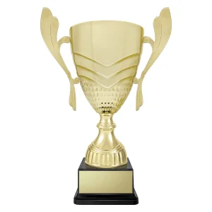 Cup trophy