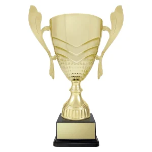 Cup trophy