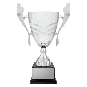 Cup trophy
