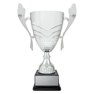 Cup trophy